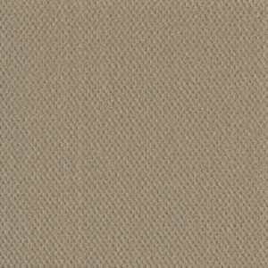 Dreamweaver Carpet Moon Bay Soft Pine Carpet 1228_6317