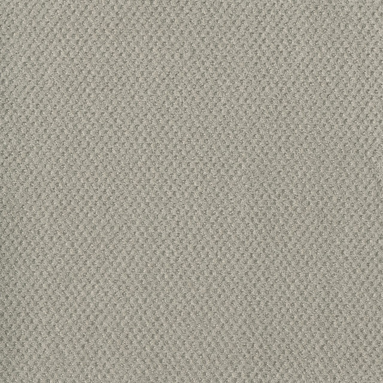 Dreamweaver Carpet Moon Bay Snow Cap Carpet 1228_6319