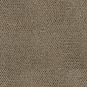 Dreamweaver Carpet Moon Bay Deer Path Carpet 1228_6564
