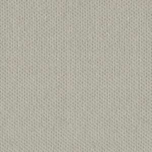 Dreamweaver Carpet Moon Bay Cloud Nine Carpet 1228_6809