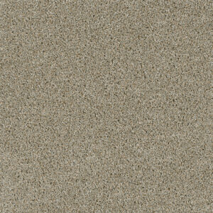 Dreamweaver Carpet Acclaim Rhinestone Carpet 1324_116
