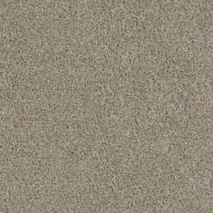 Dreamweaver Carpet Acclaim Vela Carpet 1324_164