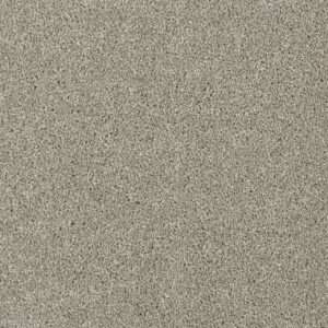 Dreamweaver Carpet Acclaim Jet Stream Carpet 1324_200