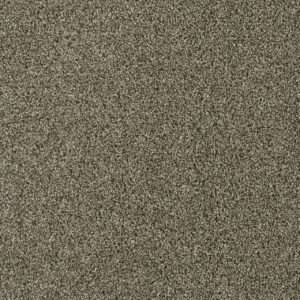 Dreamweaver Carpet Acclaim Monaco Carpet 1324_244