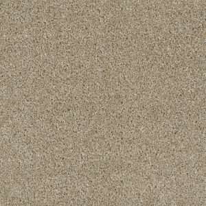 Dreamweaver Carpet Acclaim Outback Carpet 1324_298