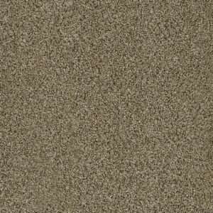 Dreamweaver Carpet Acclaim Island Spice Carpet 1324_307
