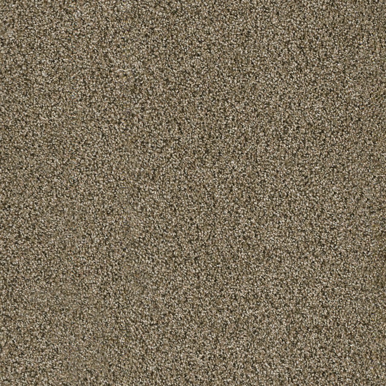 Dreamweaver Carpet Acclaim Island Spice Carpet 1324_307