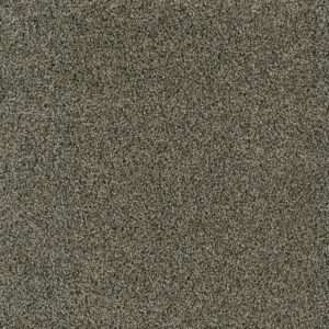 Dreamweaver Carpet Acclaim Midnight Shadow Carpet 1324_427