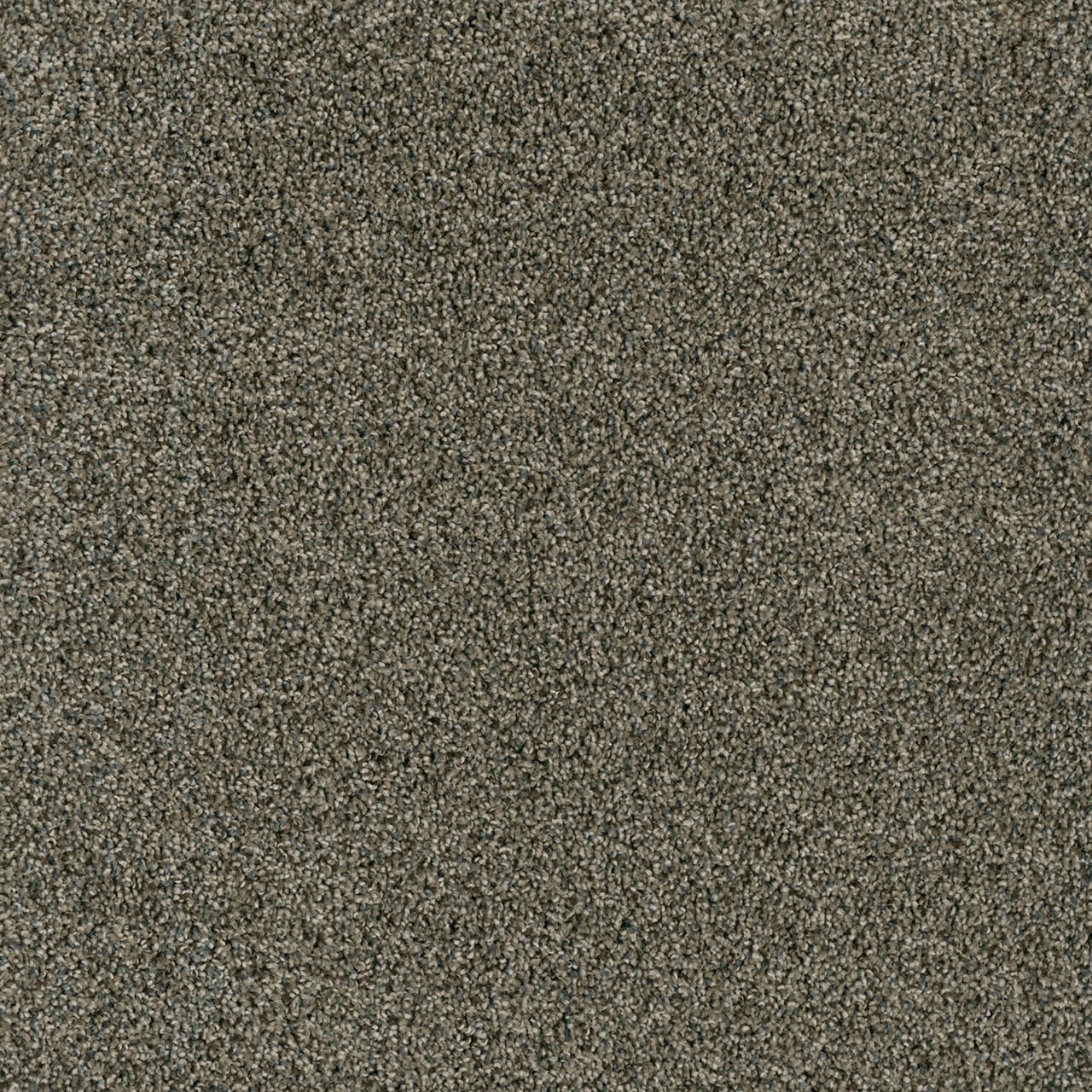 Dreamweaver Carpet Acclaim Midnight Shadow Carpet 1324_427