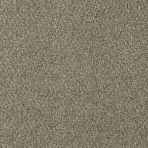 Dreamweaver Carpet Acclaim Smooth Sailing Carpet 1324_641