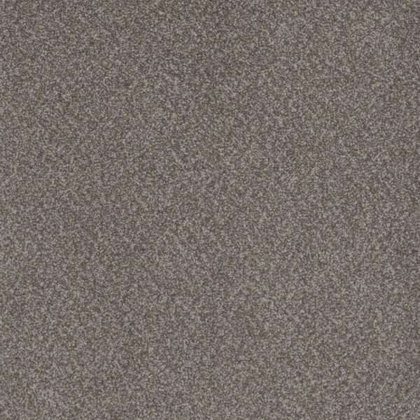 Dreamweaver Carpet Beach Club II Encore Carpet 1430_4094