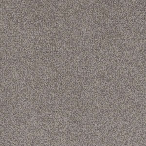 Dreamweaver Carpet Beach Club II Pique Carpet 1430_4189