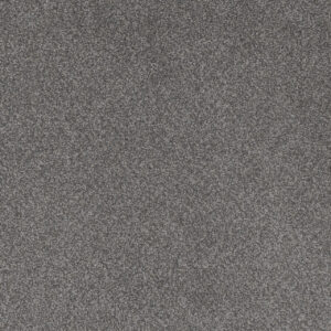 Dreamweaver Carpet Beach Club II Forget Me Not Carpet 1430_4255