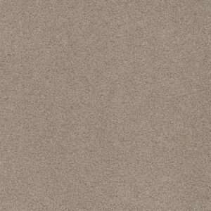 Dreamweaver Carpet Beach Club II Haystack Carpet 1430_4285