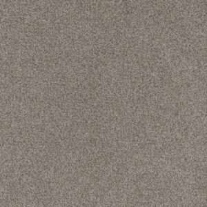 Dreamweaver Carpet Beach Club II Roman Carpet 1430_4345