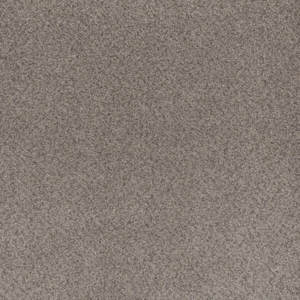 Dreamweaver Carpet Beach Club II Canyon Carpet 1430_4470