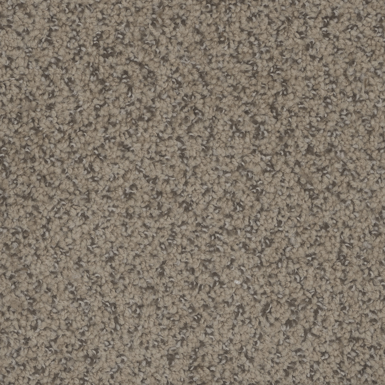 Dreamweaver Carpet Step Up Fawn Carpet 1420_759