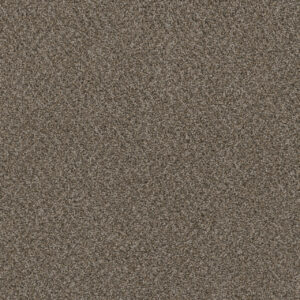 Dreamweaver Carpet Hot Pursuit Desert Jasper Carpet 1424_339