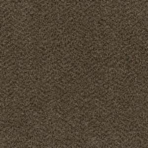 Dreamweaver Carpet Hot Pursuit Rustic Charm Carpet 1424_383