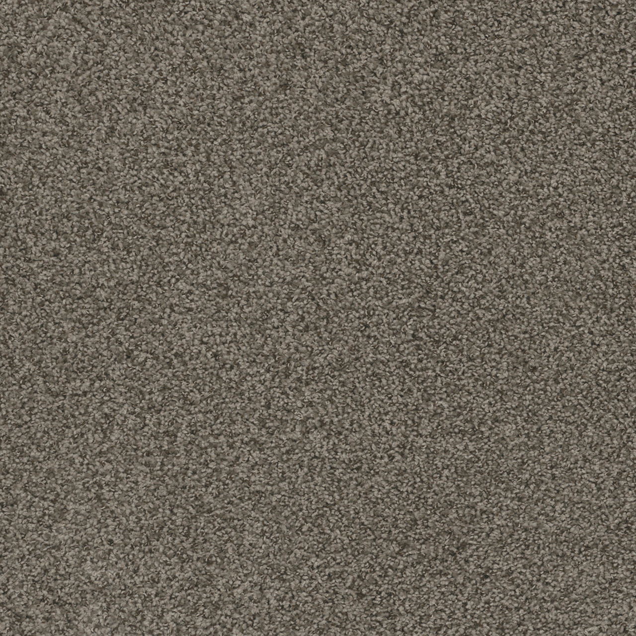 Dreamweaver Carpet Hot Pursuit Asbury Carpet 1424_433