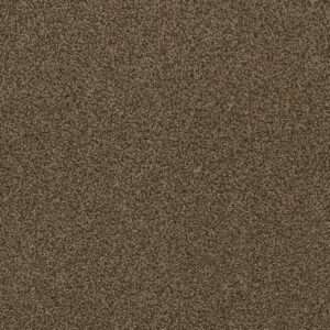 Dreamweaver Carpet Hot Pursuit Agate Carpet 1424_512