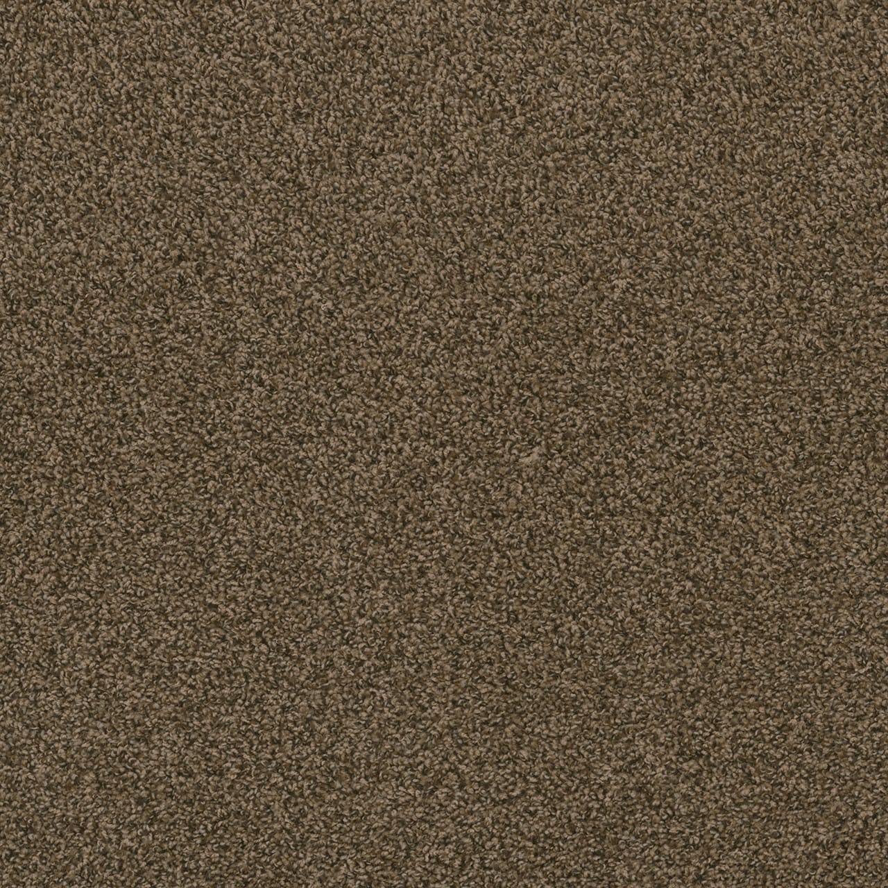 Dreamweaver Carpet Hot Pursuit Agate Carpet 1424_512