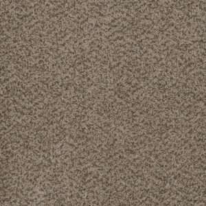 Dreamweaver Carpet Hot Pursuit Crystal Carpet 1424_537