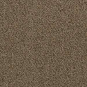 Dreamweaver Carpet Hot Pursuit Fawn Carpet 1424_759
