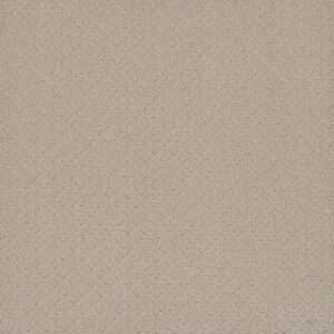 Dreamweaver Carpet Capri Champagne Fizz Carpet 1428_6309