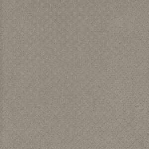 Dreamweaver Carpet Capri Arrowhead Carpet 1428_6827