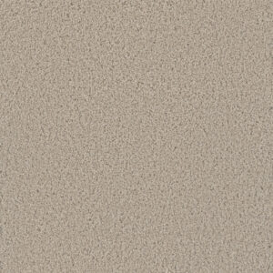 Dreamweaver Carpet Tracker Cameo Carpet 1524_174