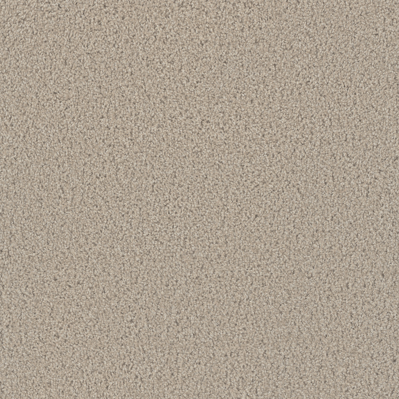 Dreamweaver Carpet Tracker Cameo Carpet 1524_174