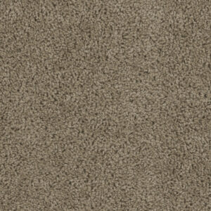 Dreamweaver Carpet Tracker Honey Beige Carpet 1524_510