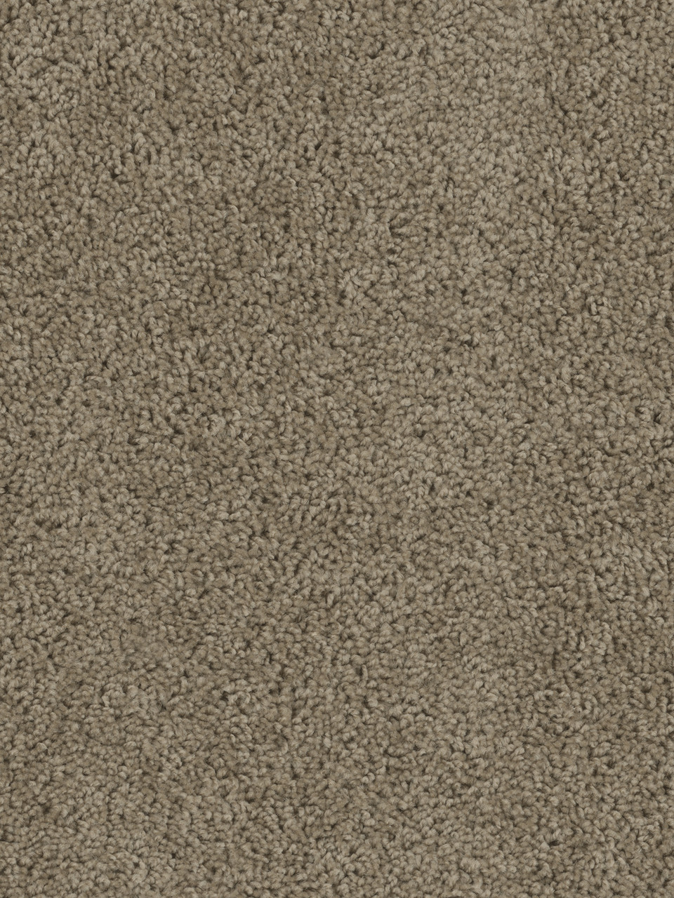 Dreamweaver Carpet Tracker Honey Beige Carpet 1524_510