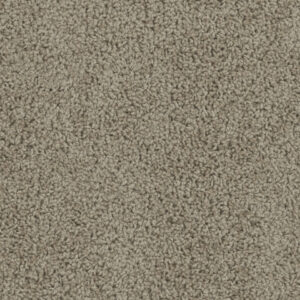 Dreamweaver Carpet Tracker Doeskin Carpet 1524_530