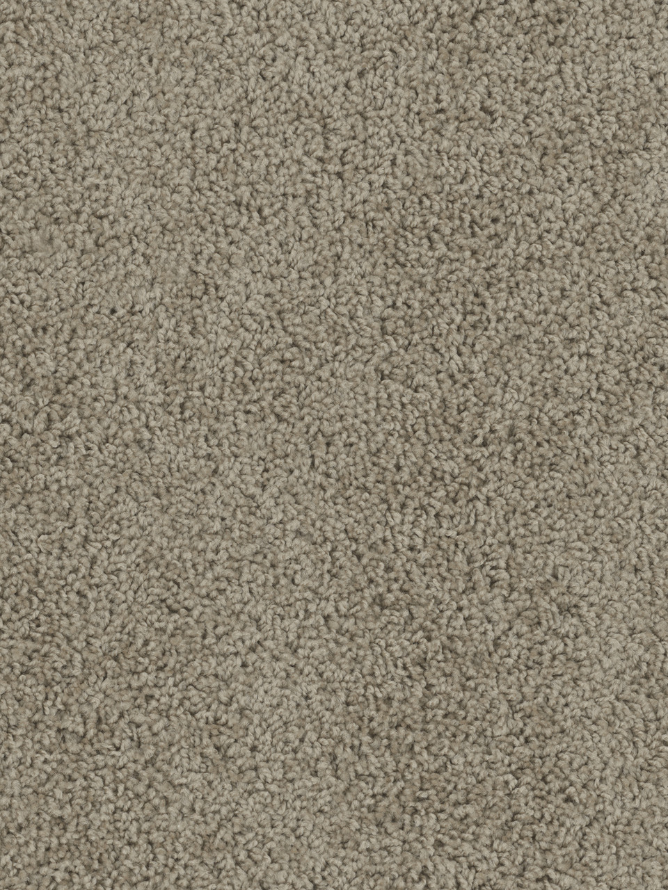 Dreamweaver Carpet Tracker Doeskin Carpet 1524_530