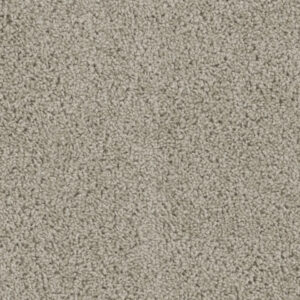 Dreamweaver Carpet Tracker Flax Beige Carpet 1524_535
