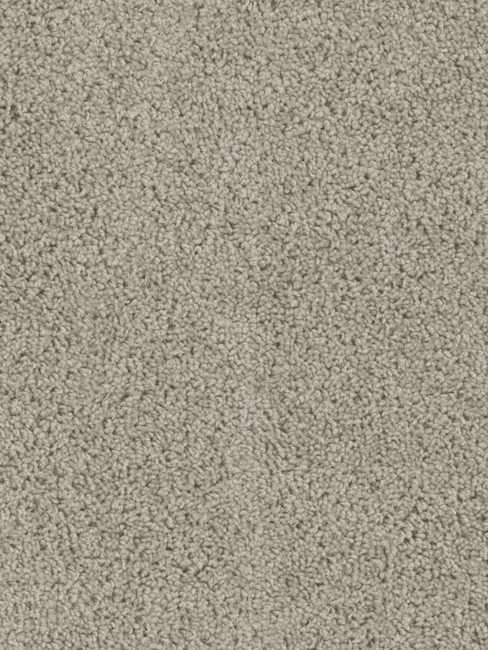 Dreamweaver Carpet Tracker Flax Beige Carpet 1524_535
