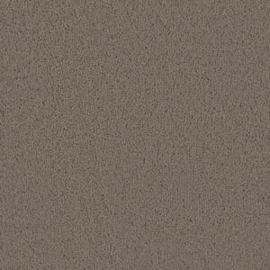 Dreamweaver Carpet Tracker Barnwood Carpet 1524_550