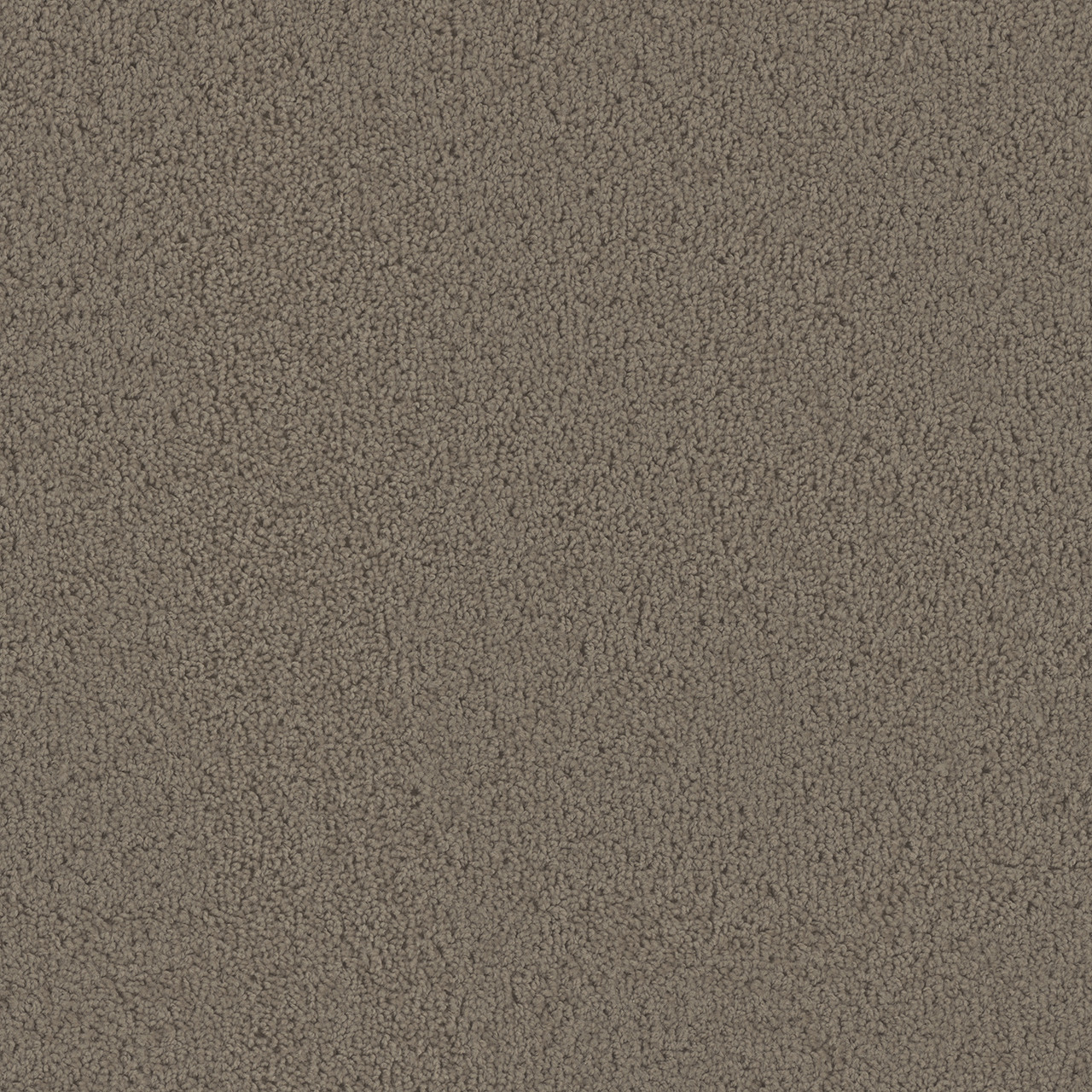Dreamweaver Carpet Tracker Barnwood Carpet 1524_550