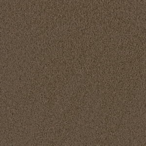 Dreamweaver Carpet Tracker Taupe Carpet 1524_565