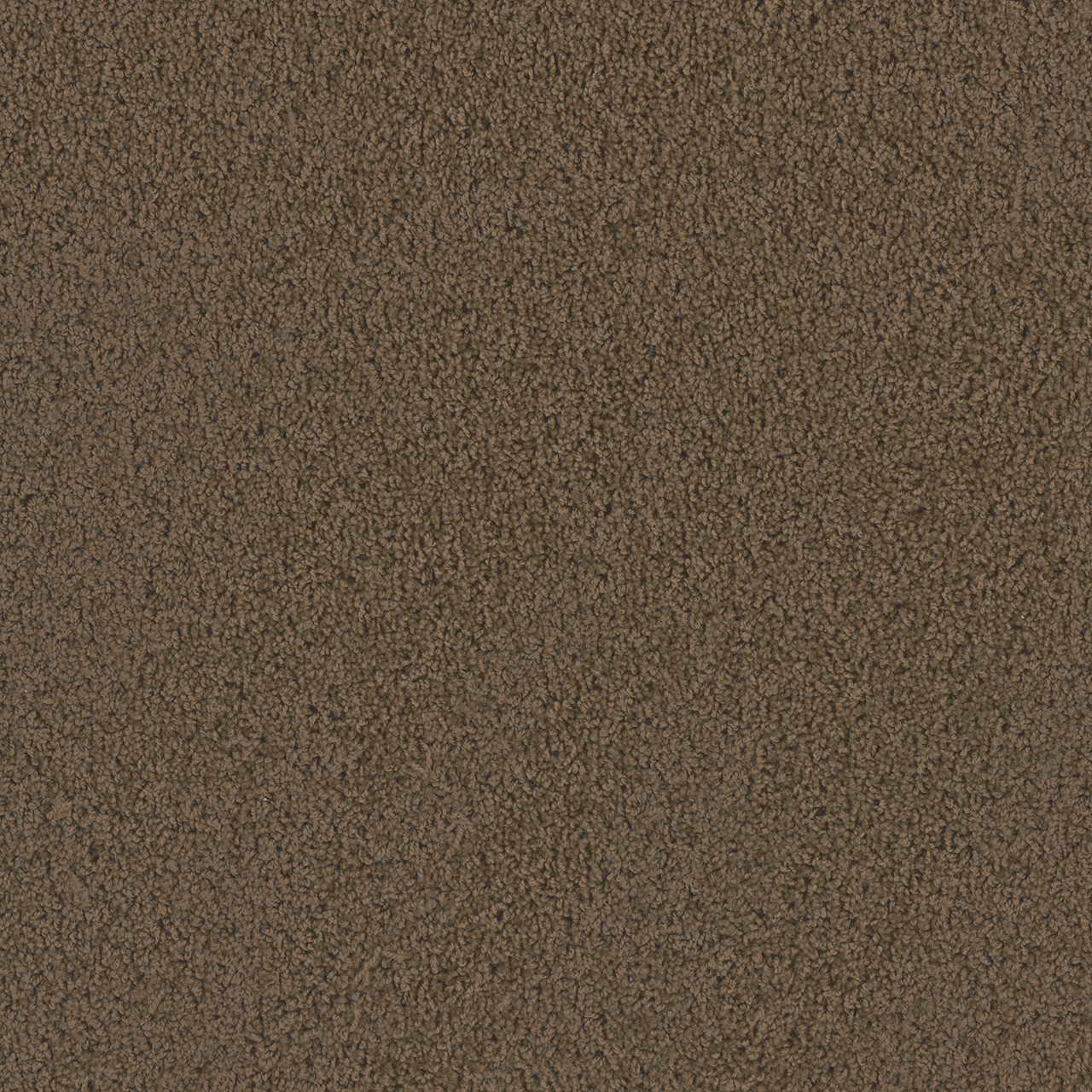 Dreamweaver Carpet Tracker Taupe Carpet 1524_565