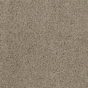 Dreamweaver Carpet Tracker Sandstone Carpet 1524_715