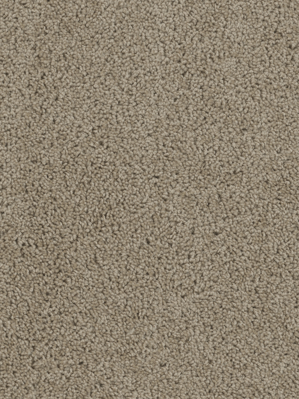 Dreamweaver Carpet Tracker Sandstone Carpet 1524_715