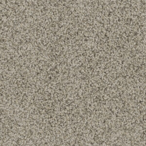 Dreamweaver Carpet Tracker Almond Carpet 1524_782