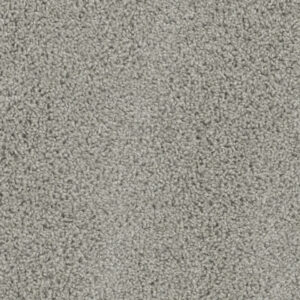 Dreamweaver Carpet Tracker Dove Carpet 1524_800