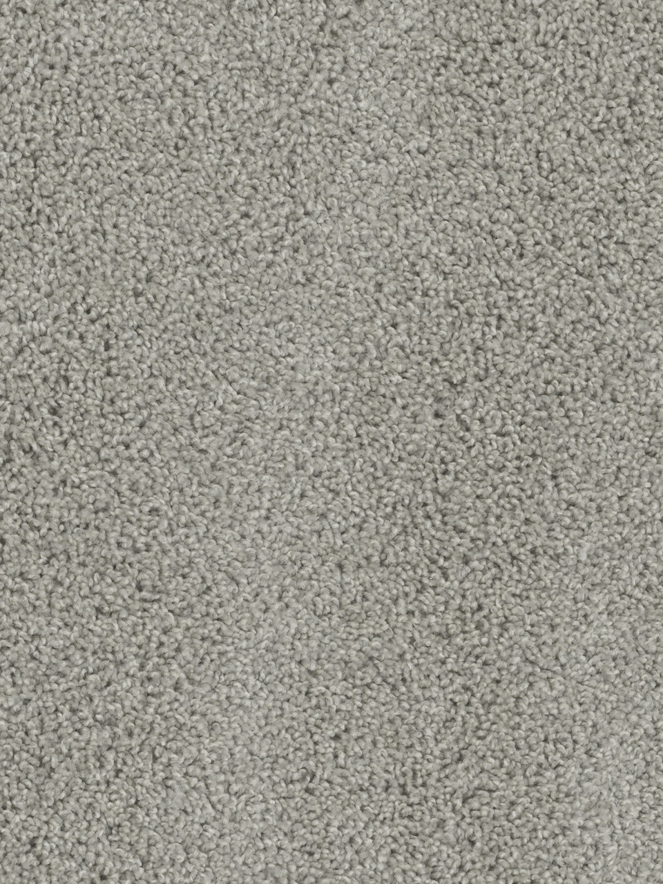 Dreamweaver Carpet Tracker Dove Carpet 1524_800