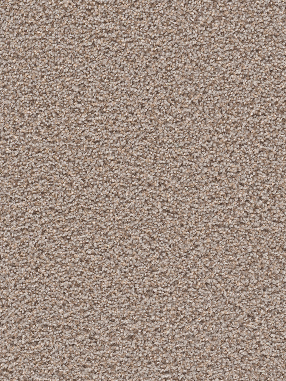 Dreamweaver Carpet Tracker Azure Carpet 1524_803