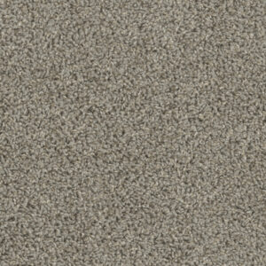 Dreamweaver Carpet Tracker Cinder Carpet 1524_835