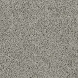 Dreamweaver Carpet Tracker Chrome Carpet 1524_927